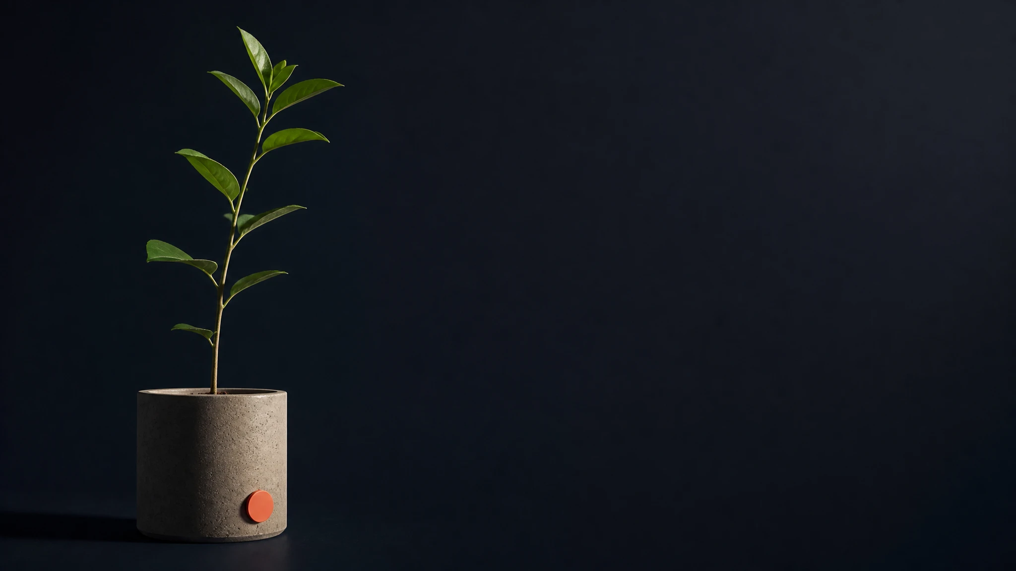 A single small plant growing in a concrete pot against a dark navy background, symbolising the compounding authority that comes from consistent, expertise-driven content over time.