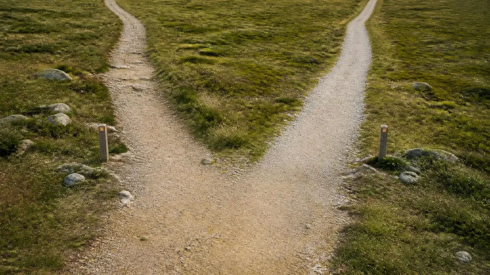 An overhead view of two diverging paths from a single starting point, one well-established and the other newly marked, visualising the distinct but related nature of SEO and GEO as content strategies.